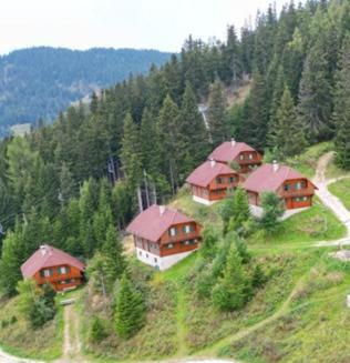 Almhuettendorf Klippitztoerl Klippitztorl ภายนอก รูปภาพ